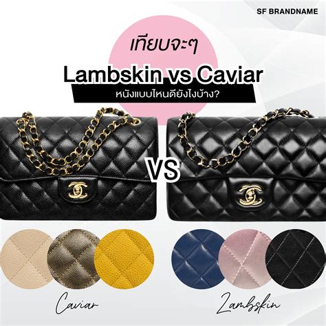 Lambskin vs Caviar: Chanel Leather Gui.